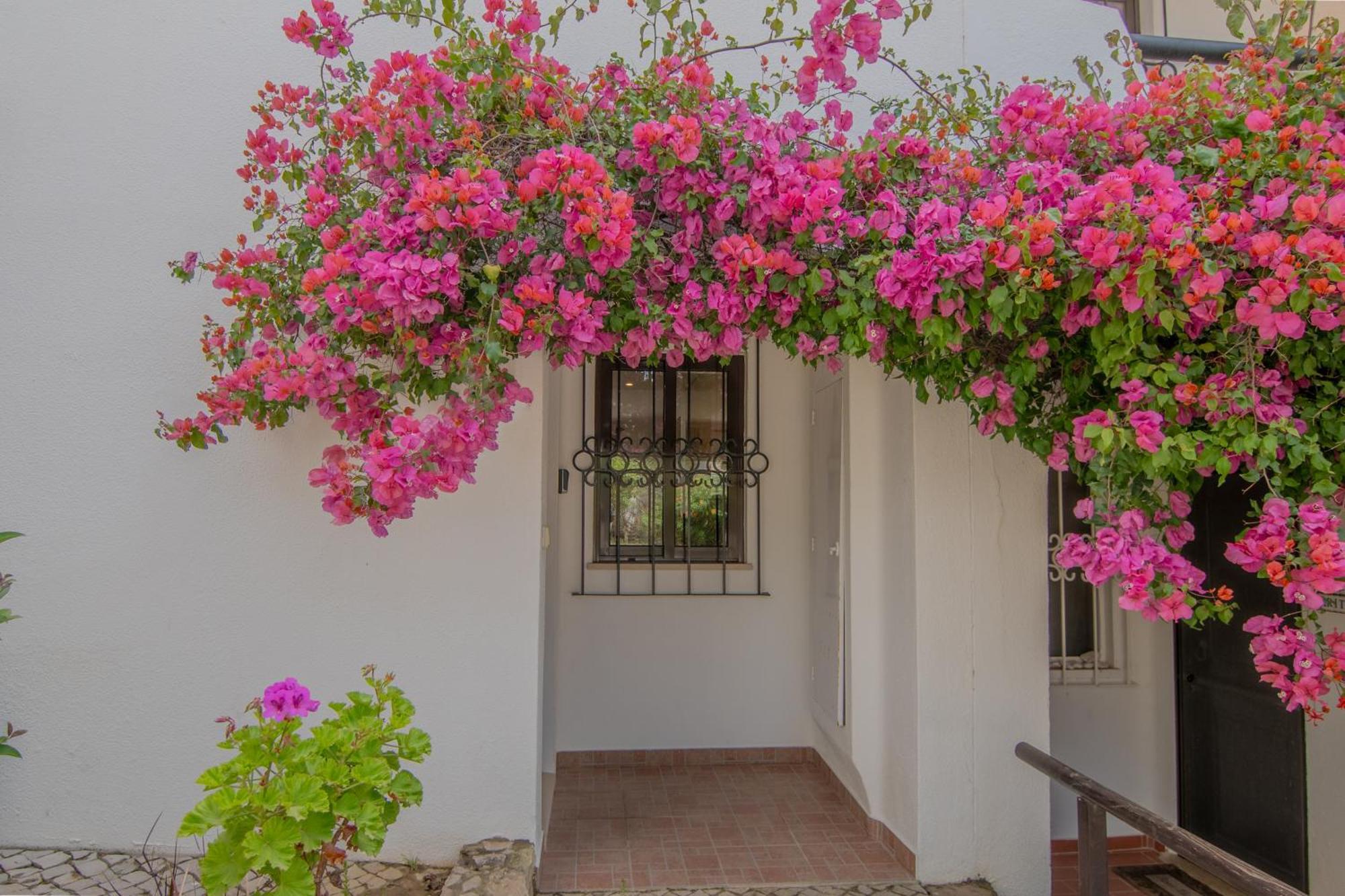 Coastal Retreat With Pool And Beach Access By Drago Rentals Albufeira Luaran gambar